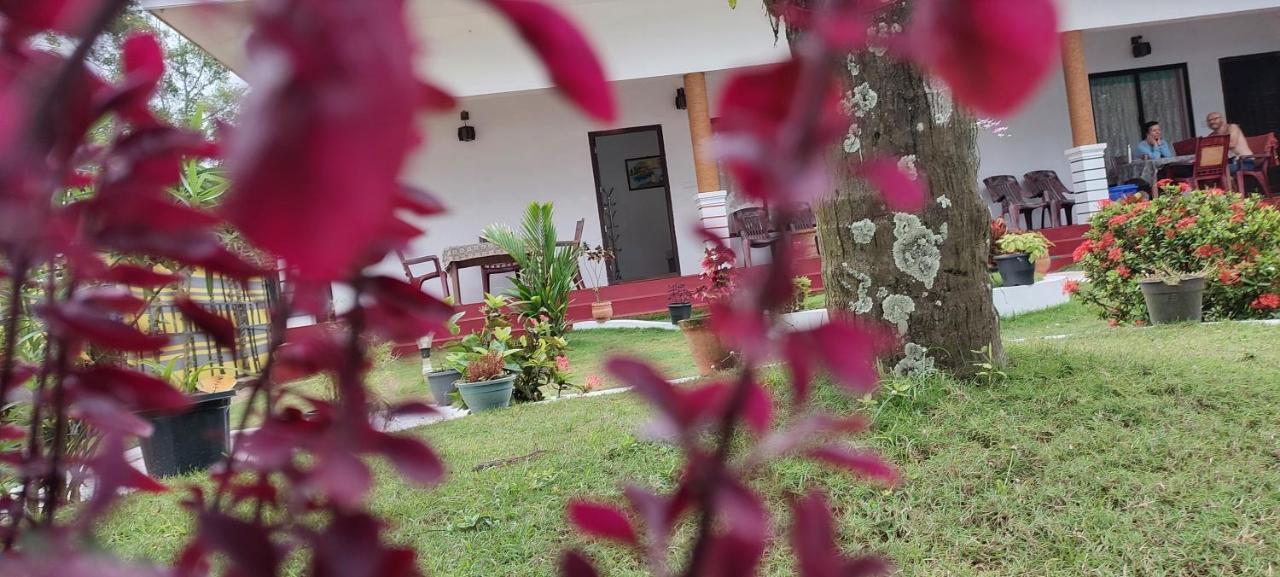 Marari Phoenix Beach Homestay มาราริคุลาม ภายนอก รูปภาพ